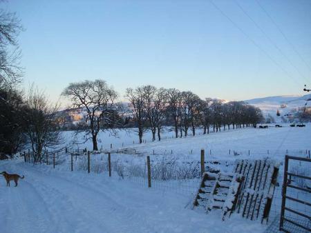 View from Bottom of Garden