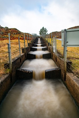 Fish ladder running through fields