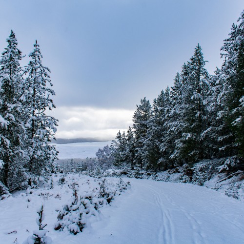 Winter Road